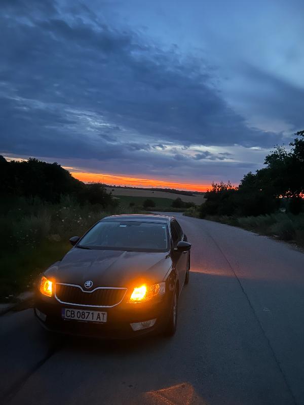 Skoda Octavia 1.6TDI - изображение 6