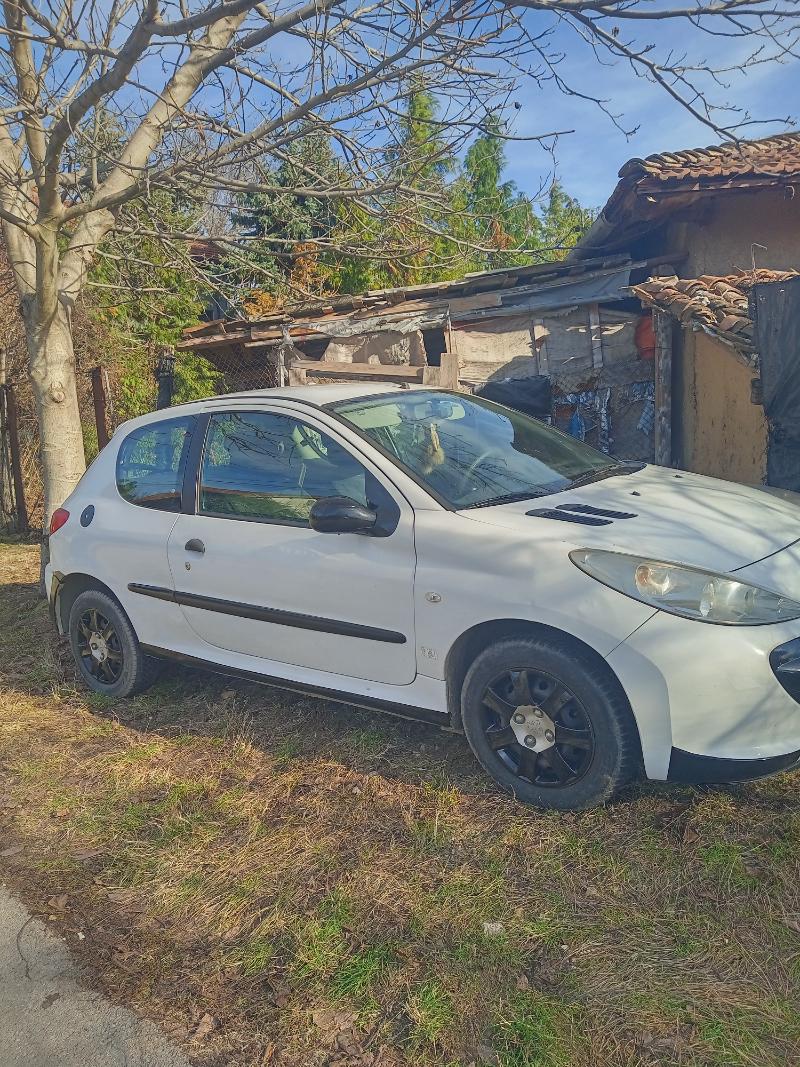 Peugeot 206 Плюс! - изображение 3