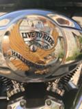 Harley-Davidson Softail  - изображение 3