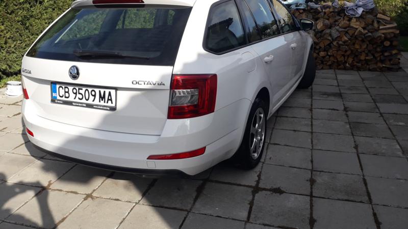 Skoda Octavia Ambition 1.6  - изображение 4