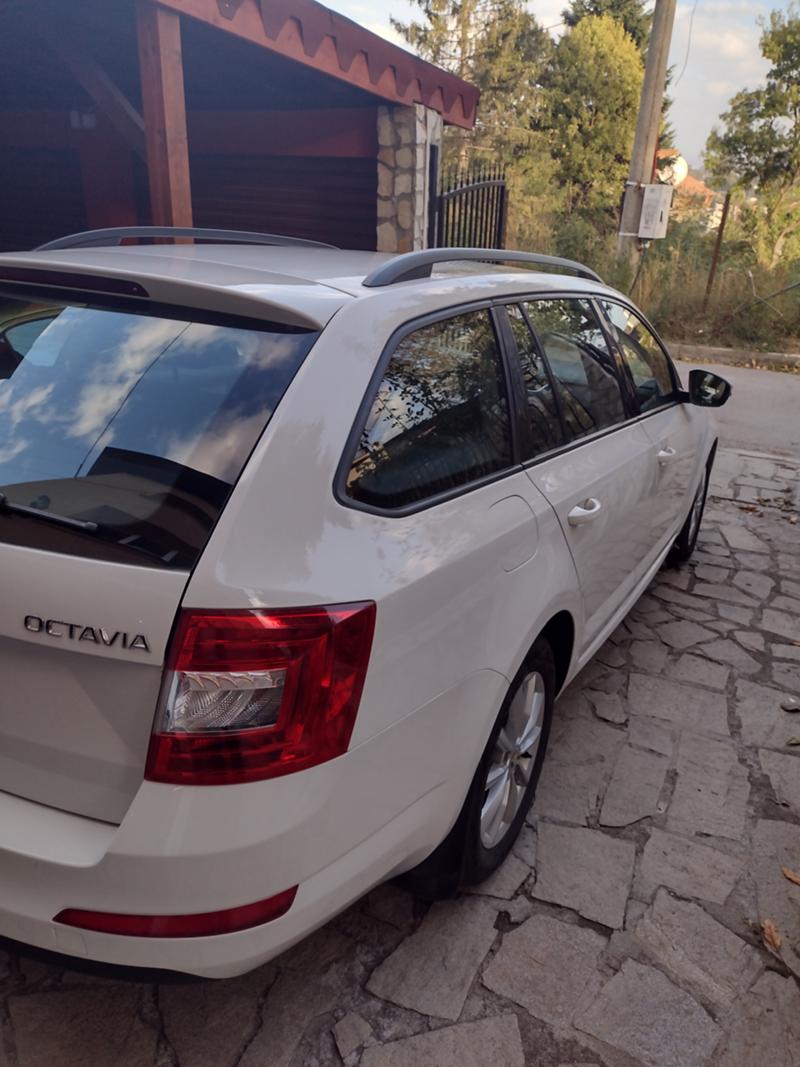 Skoda Octavia Selection - изображение 4