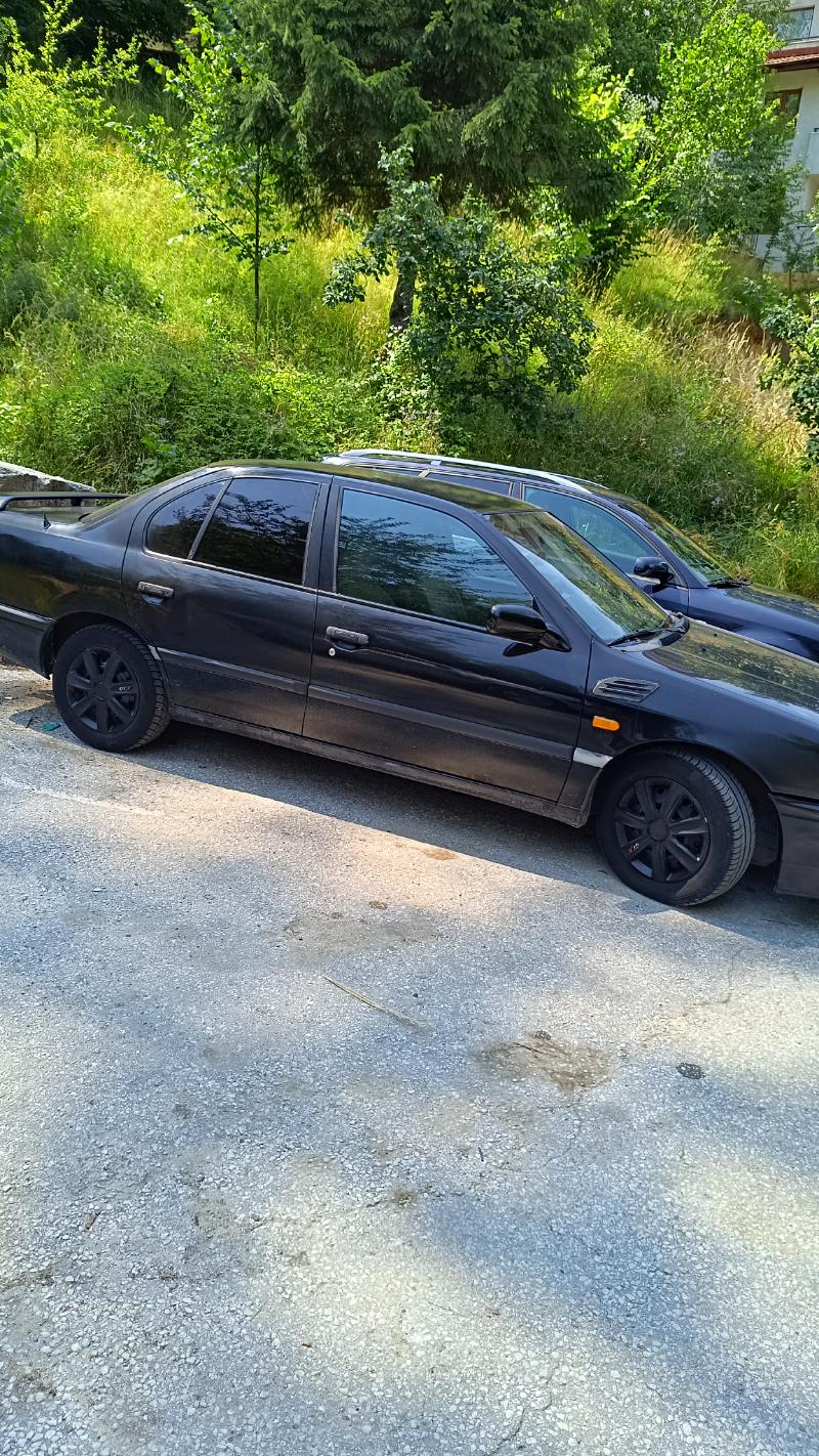 Nissan Primera 2.0sgx - изображение 5