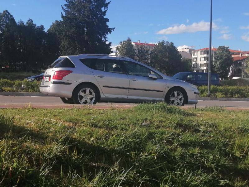 Peugeot 407  - изображение 2