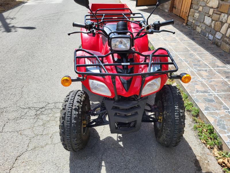 Pioneer Nevada 250 XF 200 ATV D - изображение 4