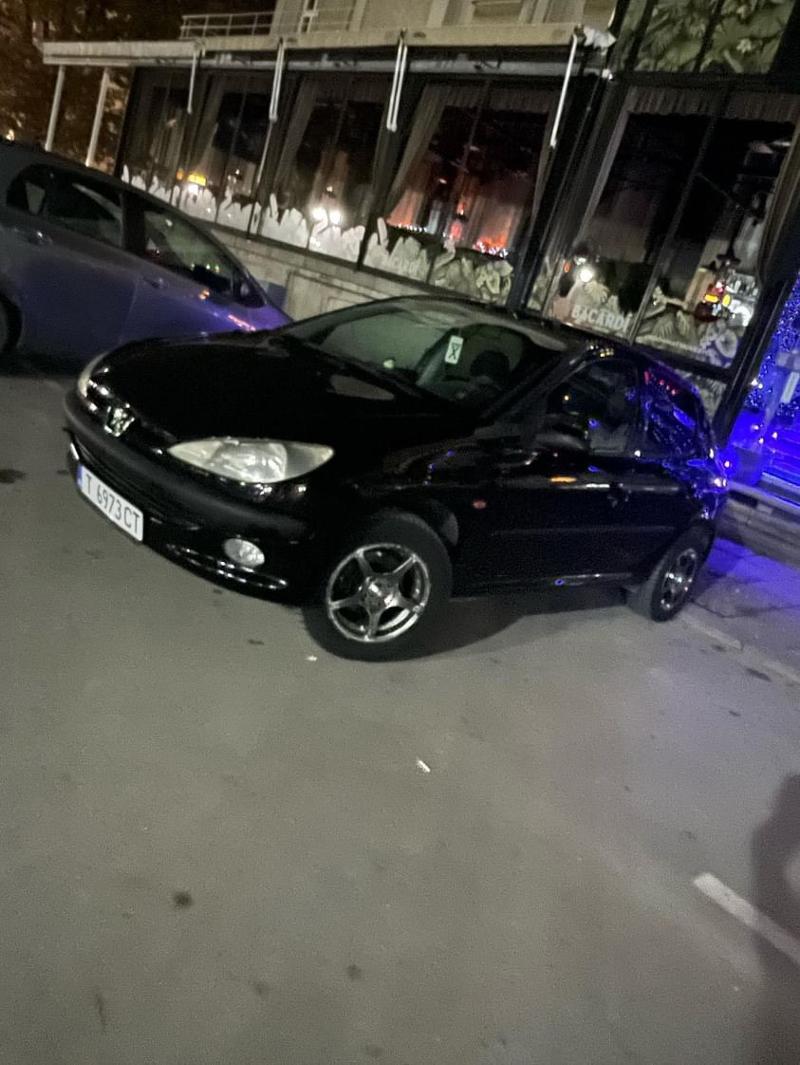 Peugeot 206 1.9D - изображение 5