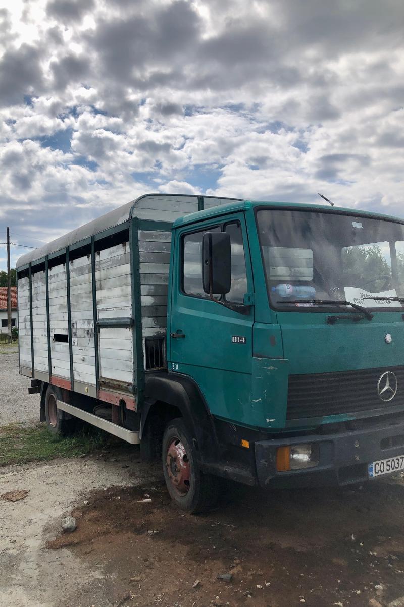 Mercedes-Benz 814  - изображение 3