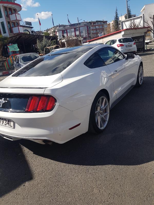 Ford Mustang 3.7 - изображение 2