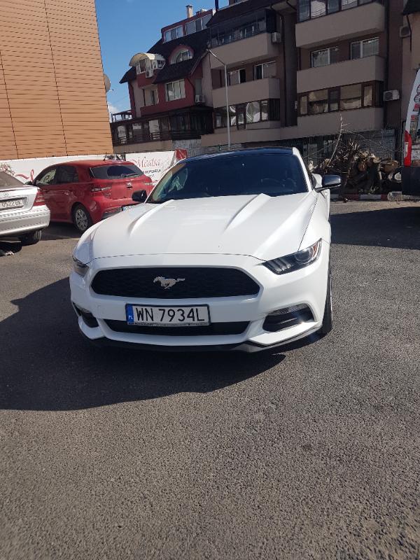 Ford Mustang 3.7 - изображение 4