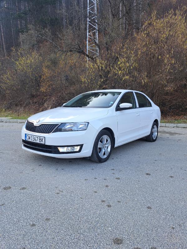 Skoda Rapid 1.6TDI - изображение 3