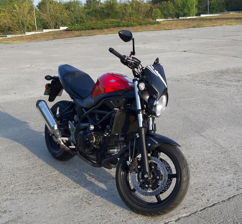 Suzuki SV  - изображение 6