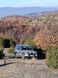 Land Rover Discovery 2,5 TD 5 - изображение 9