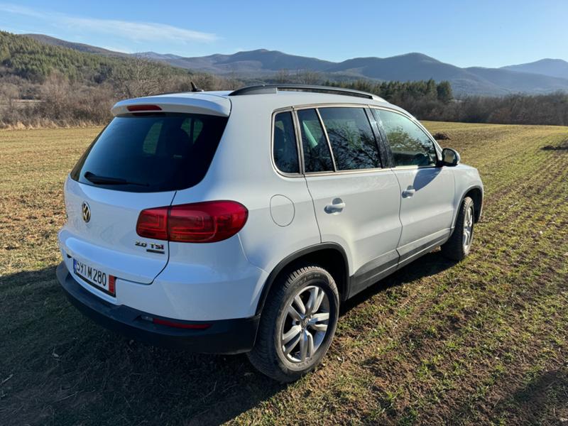 VW Tiguan  - изображение 2