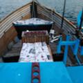 Лодка Собствено производство Мичурин 720 - изображение 4