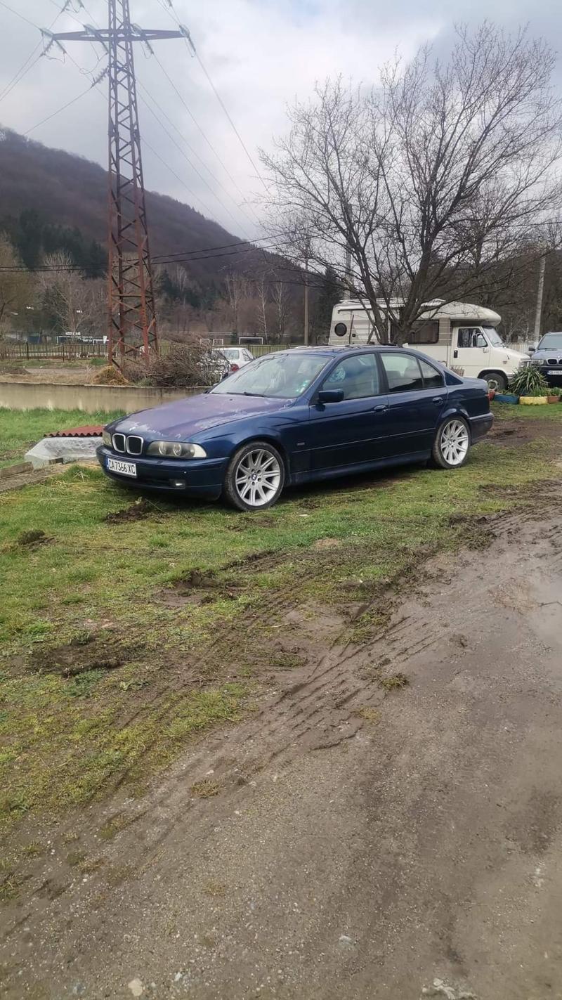 BMW 525 2.5d - изображение 2