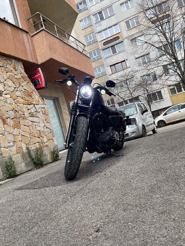 Harley-Davidson Sportster XL 883 IRON - изображение 7