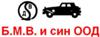 bmvisin logo