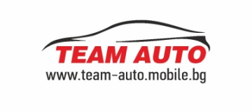 team-auto logo
