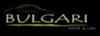 Bulgari-parts logo