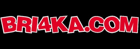 Bri4ka.com logo