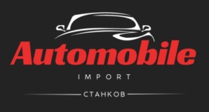 Automobile Import  logo