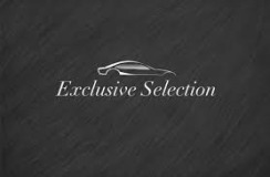 Exselection logo