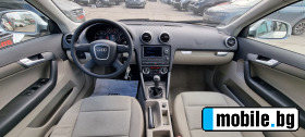 Audi A3 2.0 TDI 170k.c quattro ITALIA | Mobile.bg   13