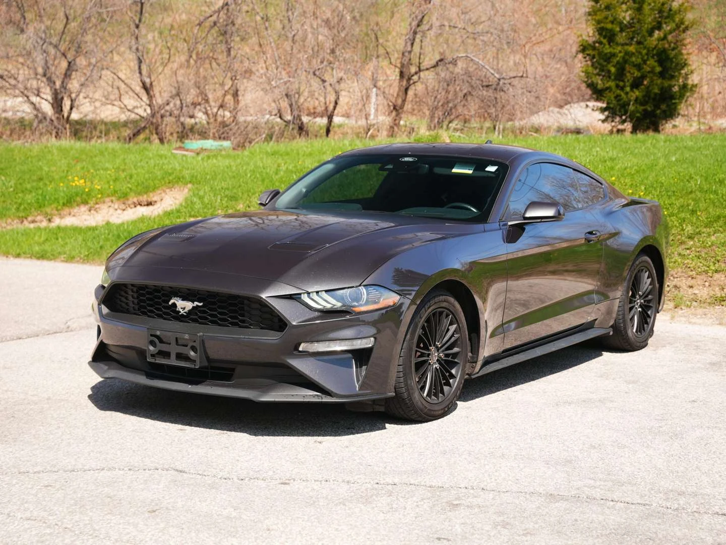 Ford Mustang, снимка 4 - Автомобили и джипове - 56021298