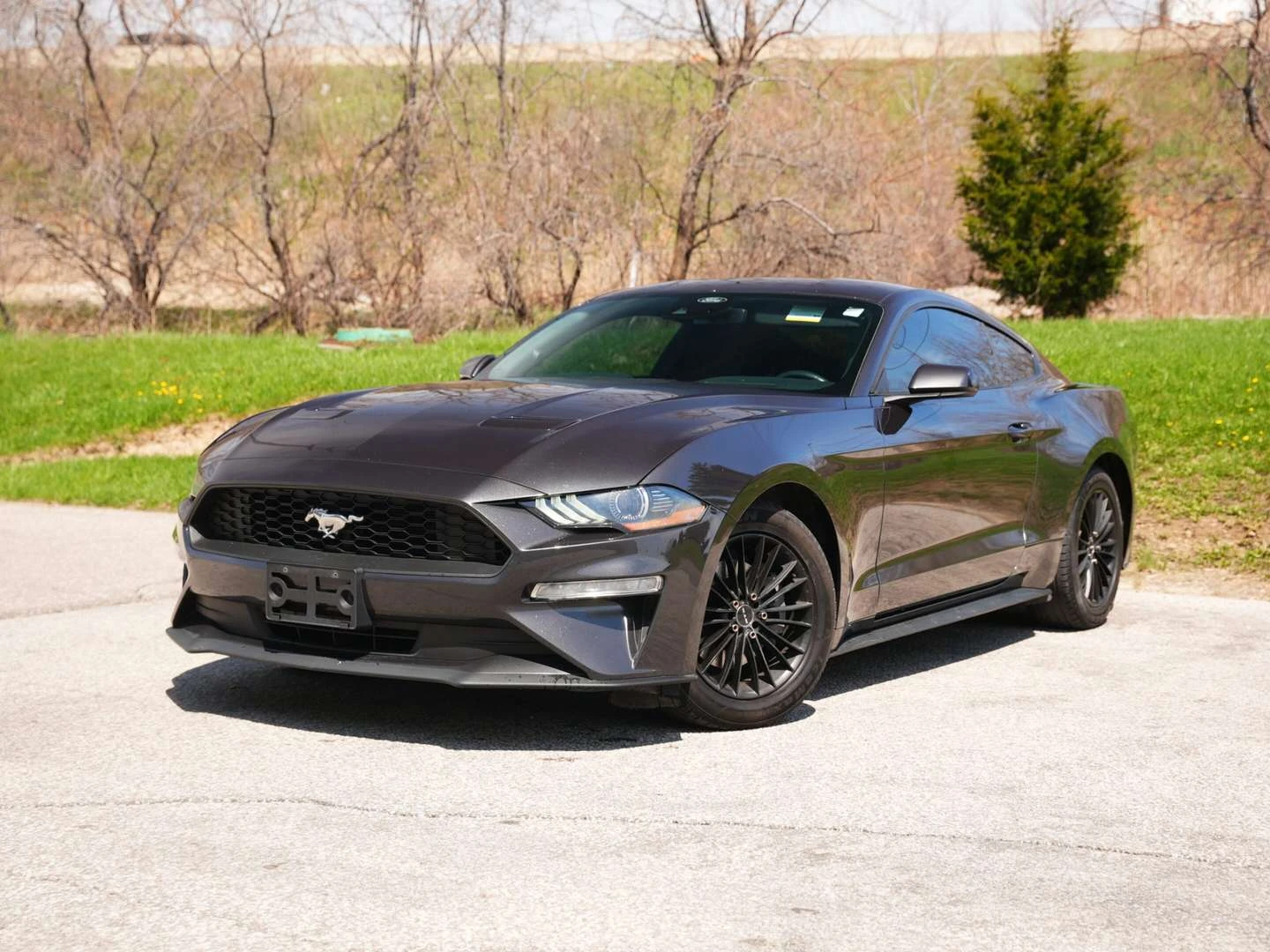 Ford Mustang, снимка 7 - Автомобили и джипове - 56021298