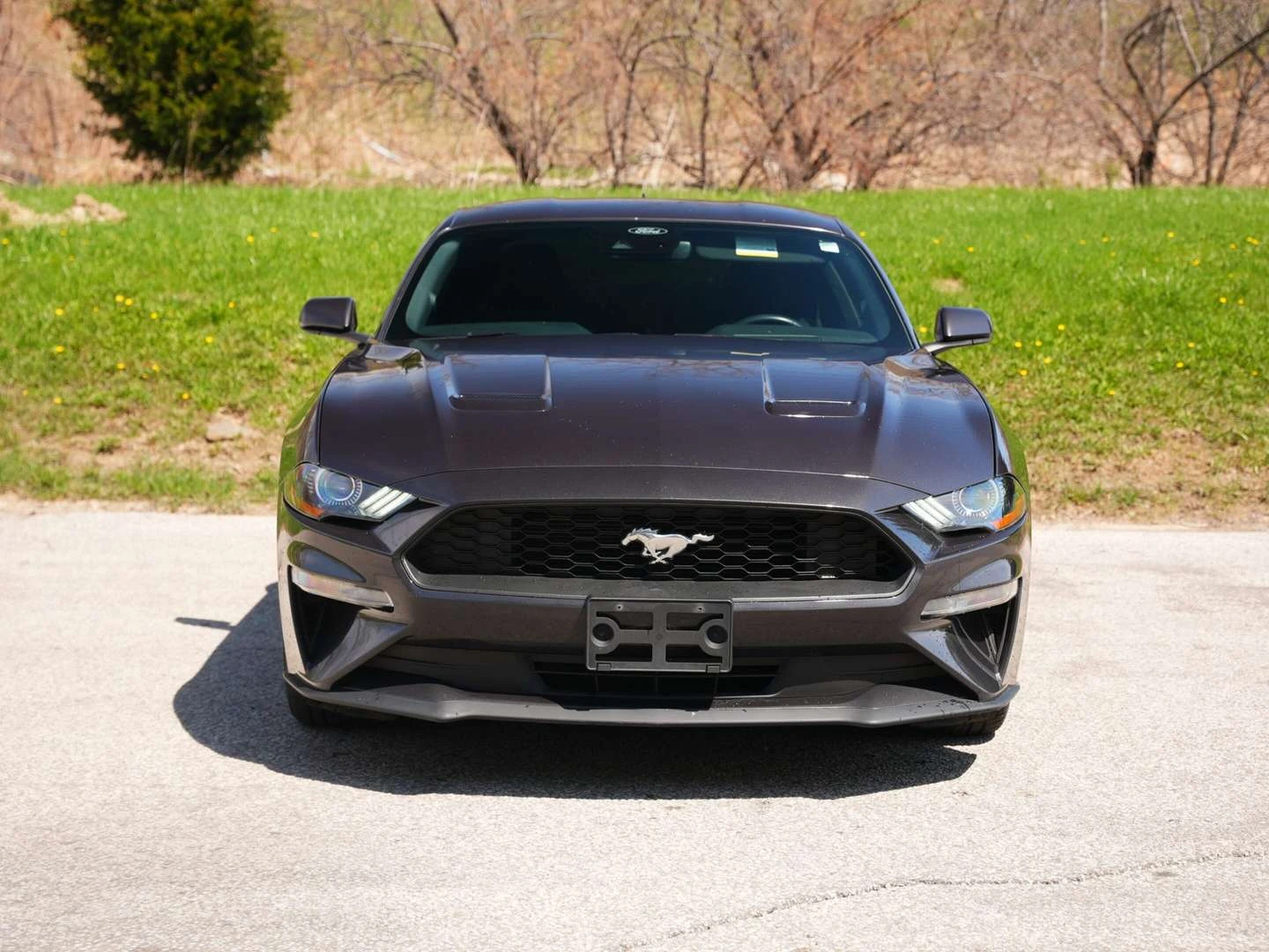 Ford Mustang, снимка 3 - Автомобили и джипове - 56021298