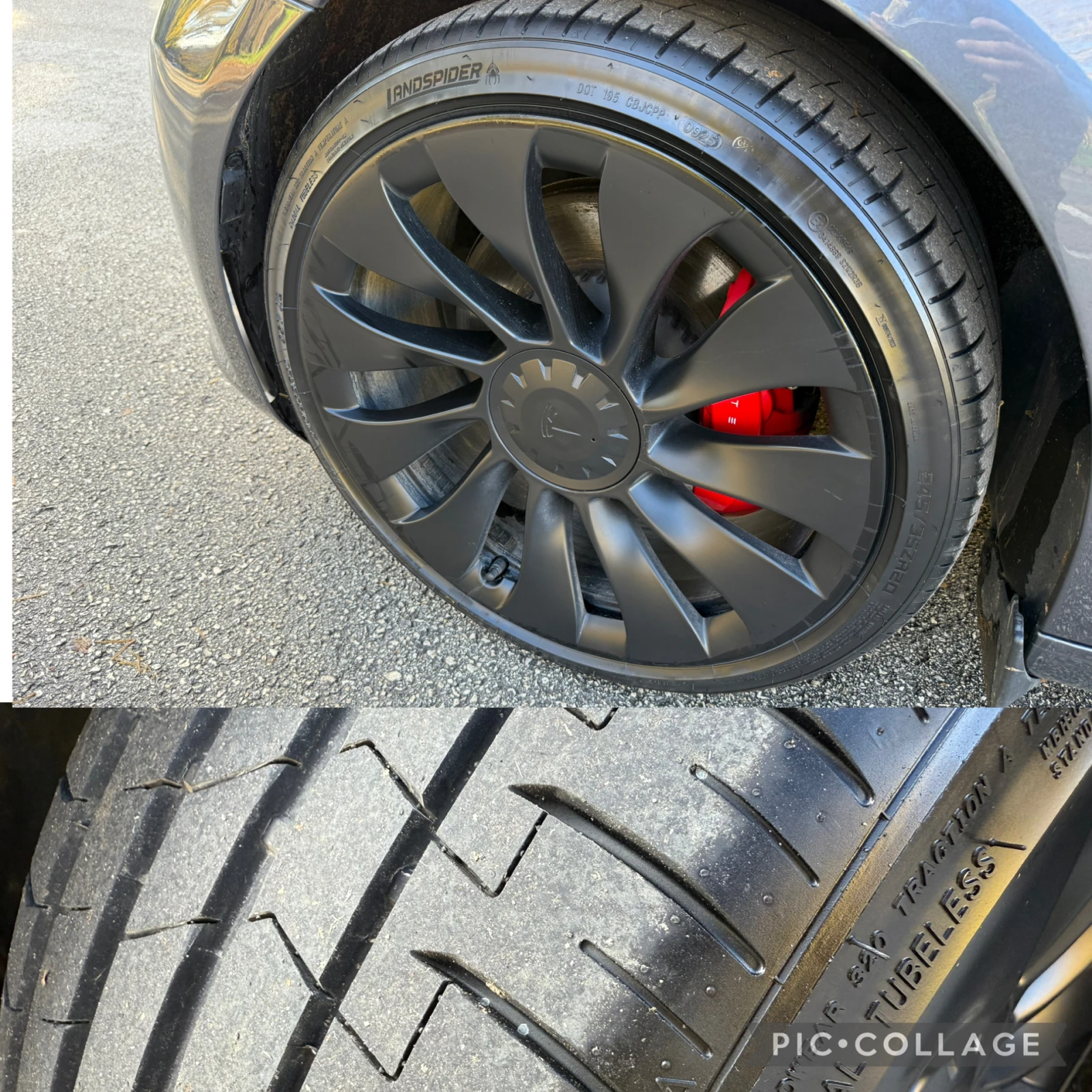 Tesla Model 3 PERFORMANCE* FACE* 4x4* * FULL | Mobile.bg   15