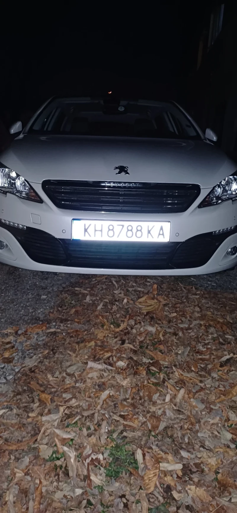 Peugeot 308 1.6, снимка 9 - Автомобили и джипове - 52881059