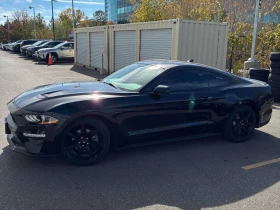 Ford Mustang * EcoBoost * CARFAX * ����� �� ����������� | Mobile.bg � ����� ������ 2