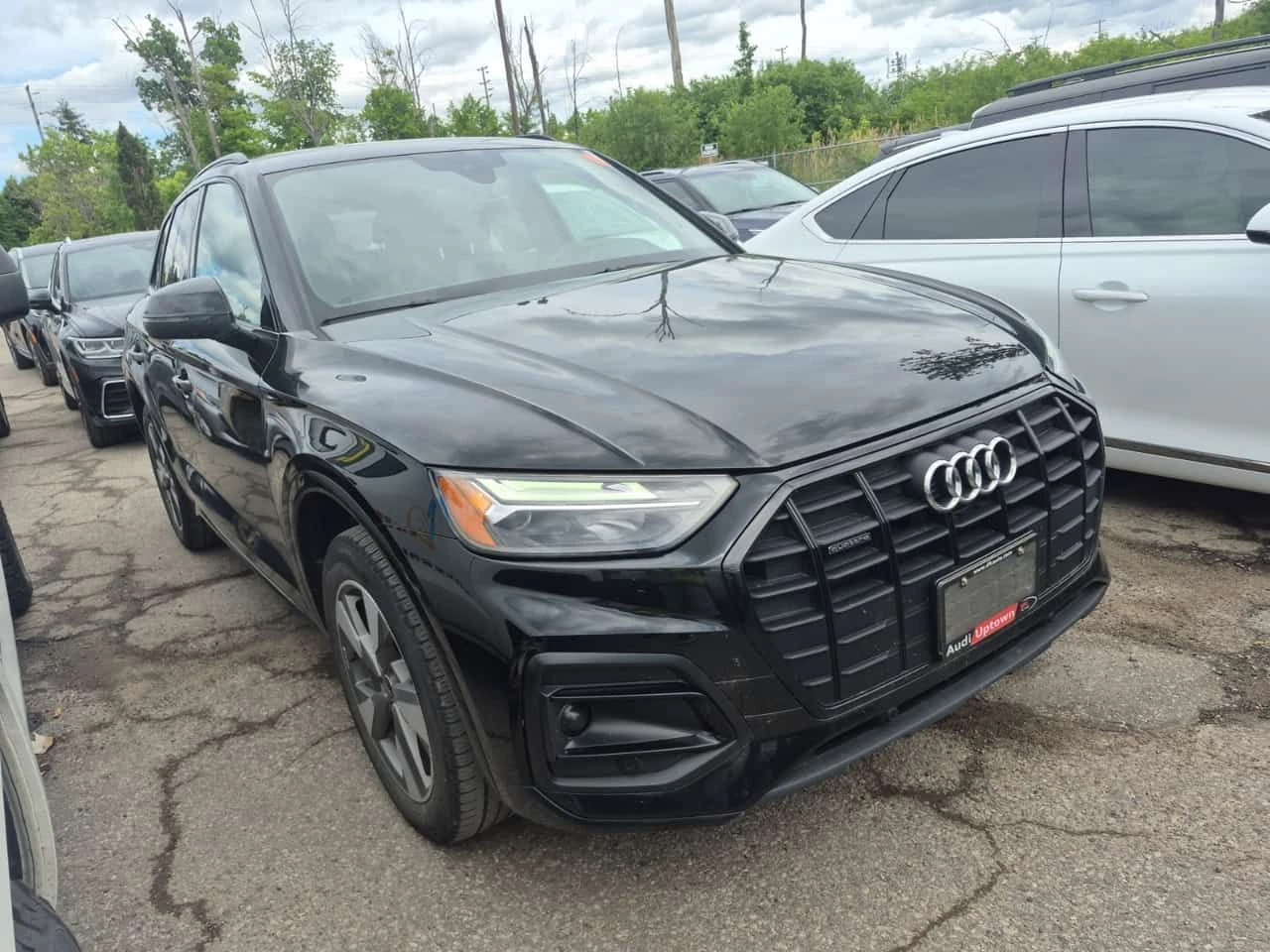 Audi Q5 * ОТ ПРЕДСТАВИТЕЛСТВО * 2 КЛЮЧА * CARFAX * , снимка 2 - Автомобили и джипове - 55206812