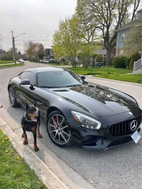Mercedes-Benz AMG GT * S * CARFAX * ОПЦИЯ ЗА ФИНАНСИРАНЕ | Auto.bg — изображение 12