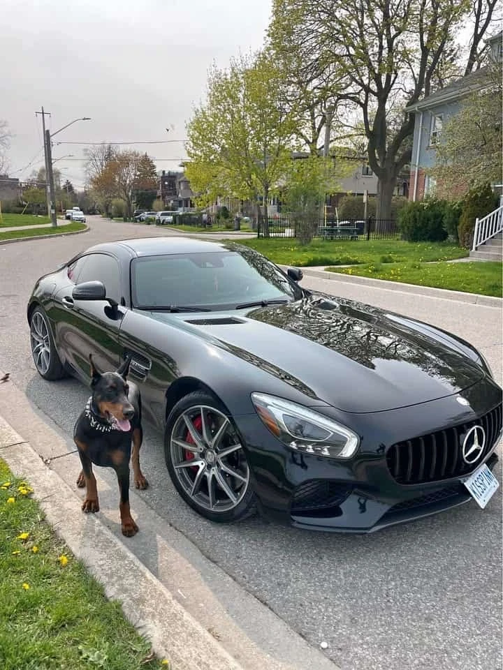 Mercedes-Benz AMG GT * S * CARFAX * ����� �� ����������� | Mobile.bg � ����������� 12