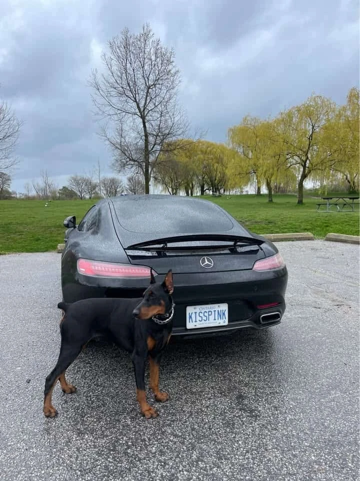 Mercedes-Benz AMG GT * S * CARFAX * ����� �� ����������� | Mobile.bg � ����������� 3