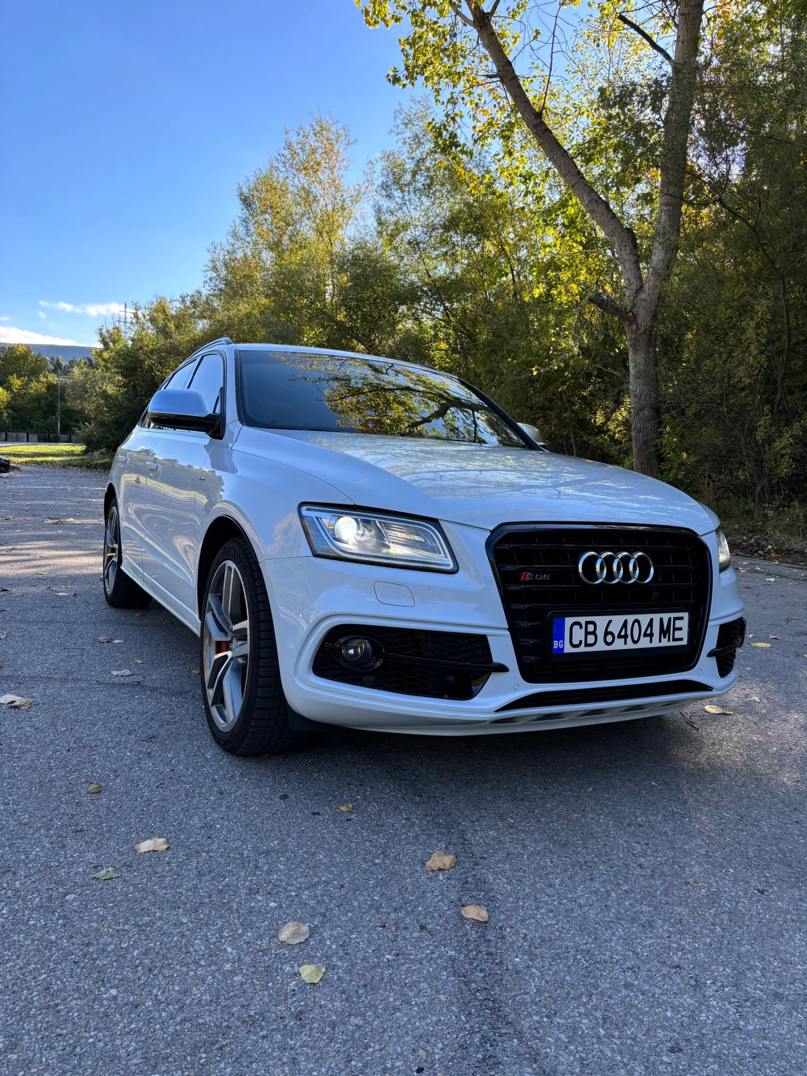 Audi SQ5 3.0 BiTdi Distronic - изображение 2