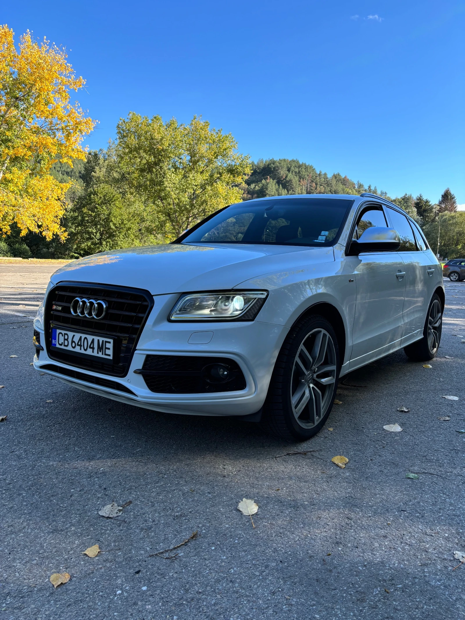 Audi SQ5 3.0 BiTdi Distronic - изображение 4