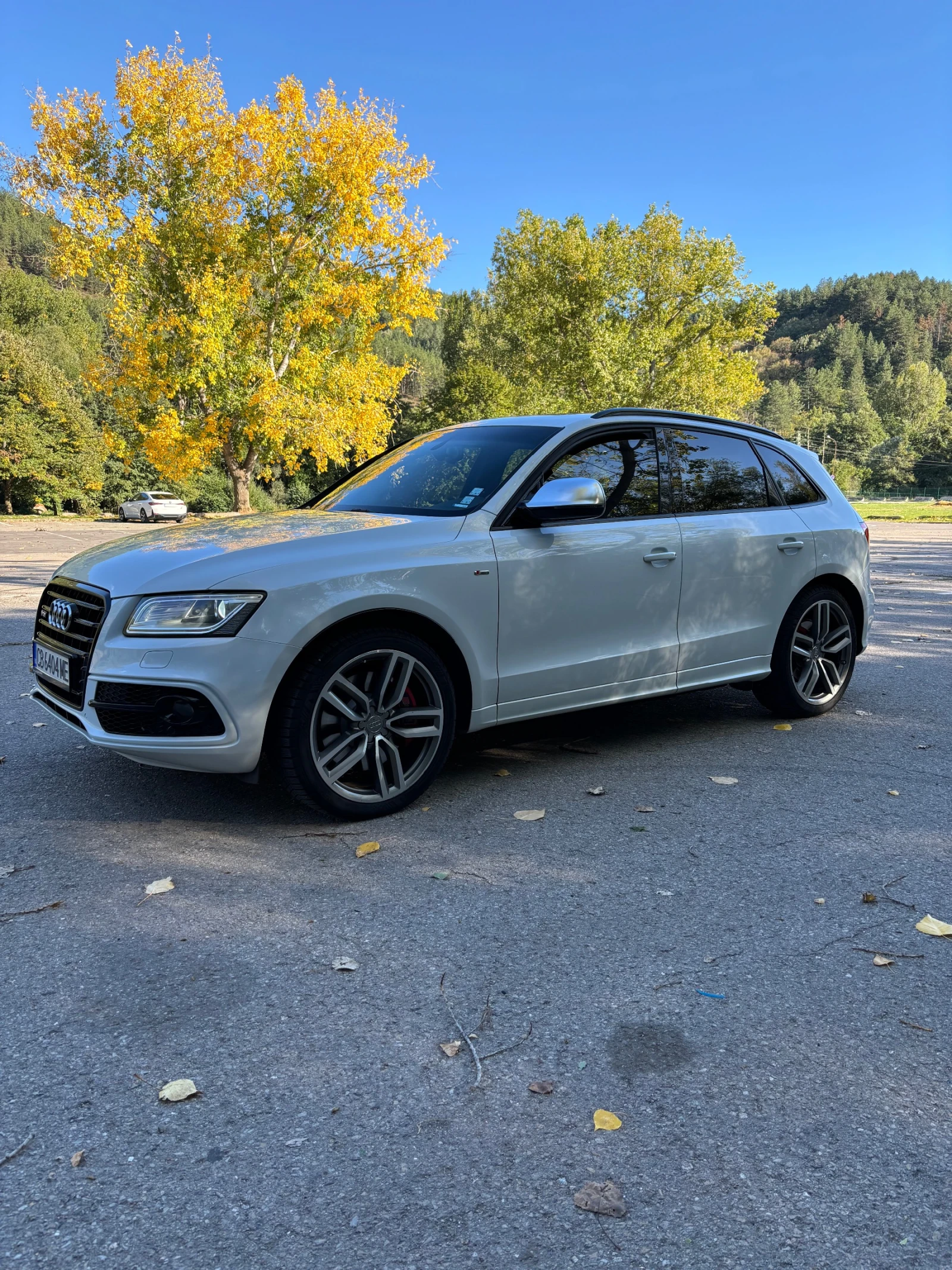 Audi SQ5 3.0 BiTdi Distronic - изображение 3