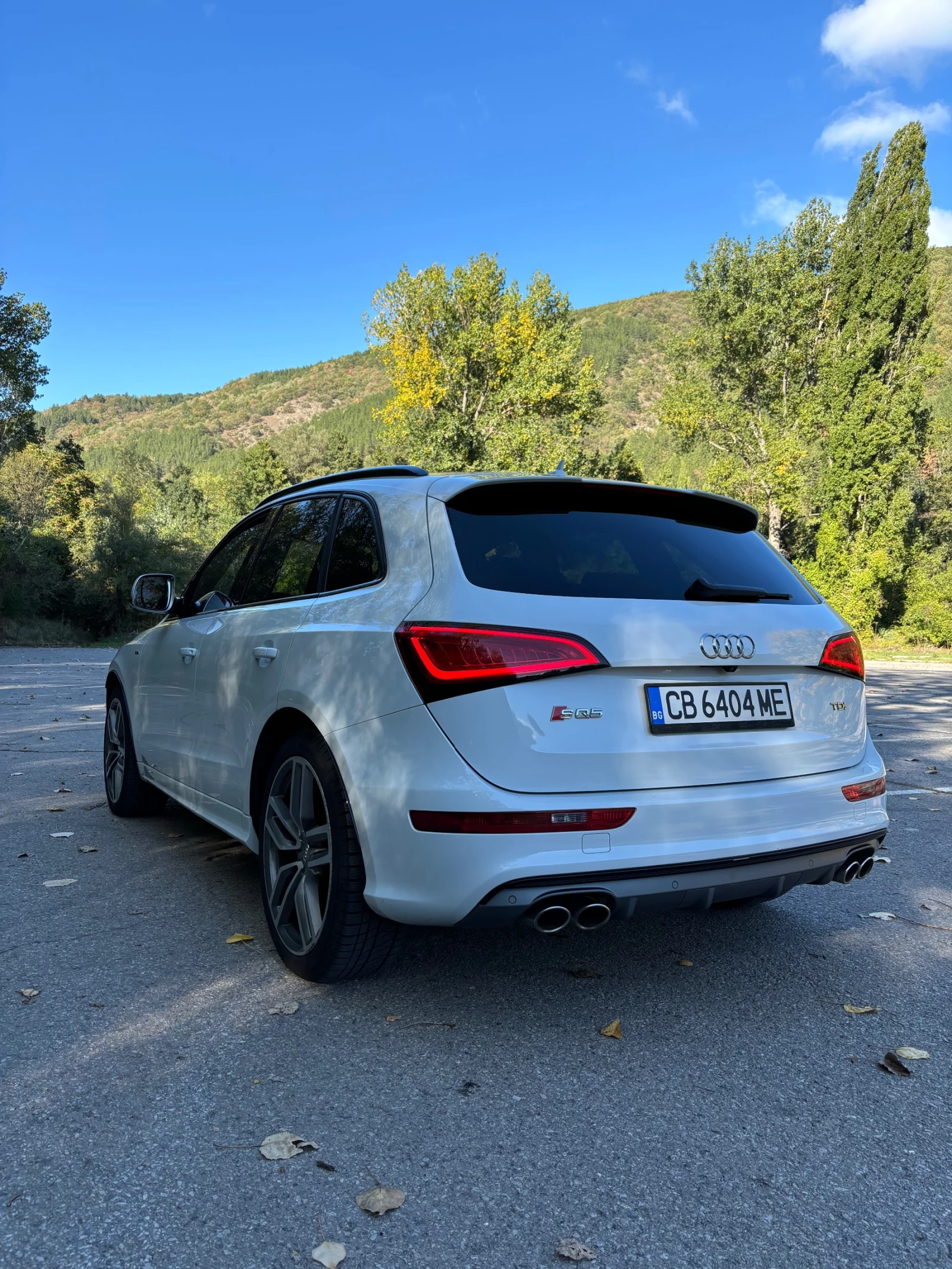 Audi SQ5 3.0 BiTdi Distronic - изображение 6