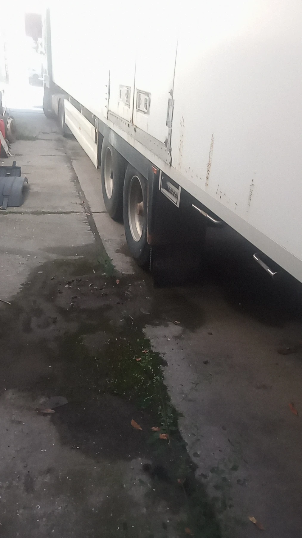 ����������� CHERAU, LAMBERET, BERTOLETTI | Mobile.bg � ����������� 5