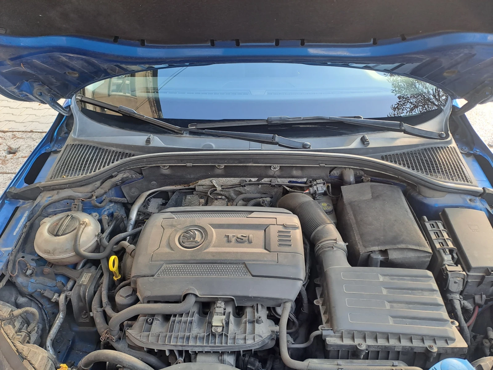 Skoda Octavia, снимка 16 - Автомобили и джипове - 56647184