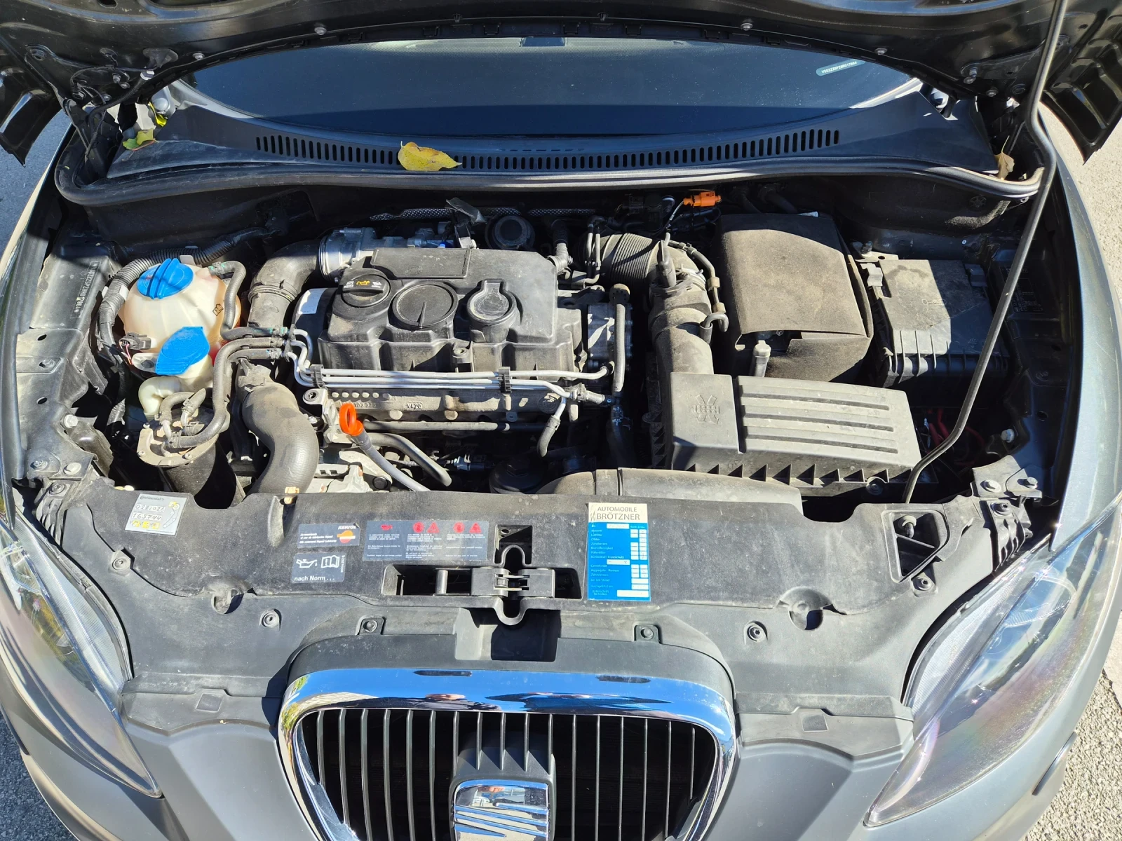 Seat Altea Freetrack, снимка 14 - Автомобили и джипове - 56707513