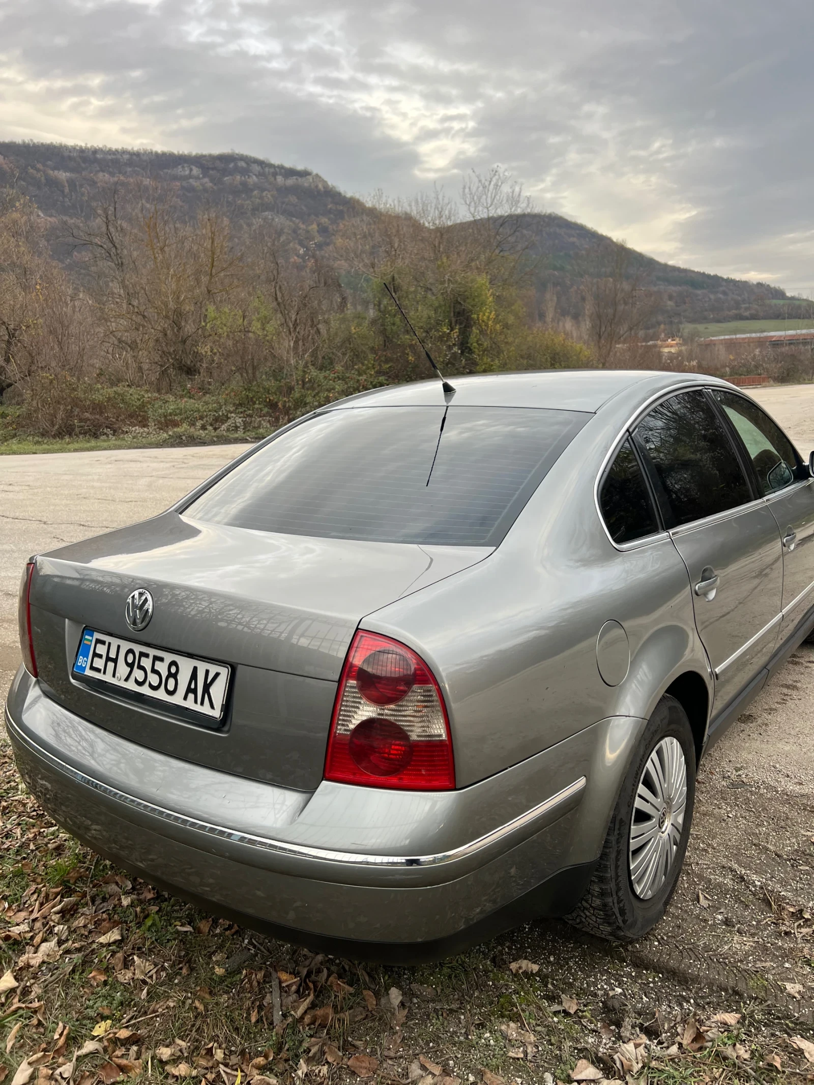 VW Passat  - изображение 4