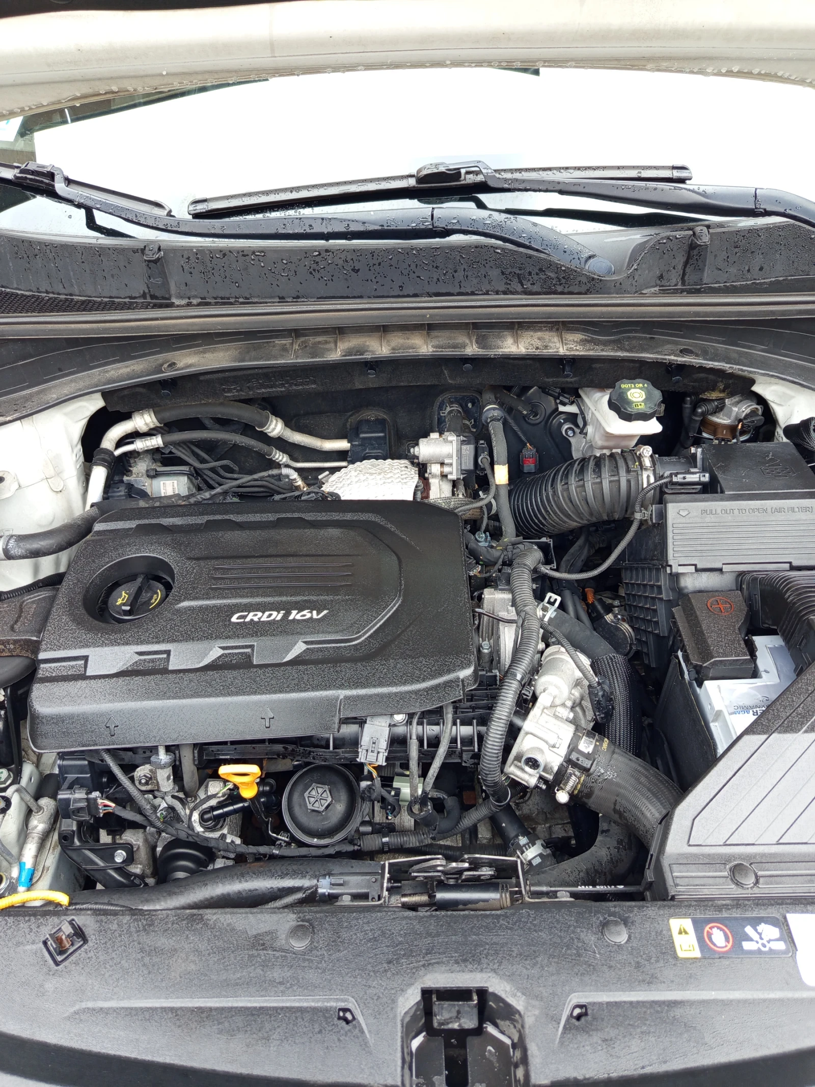 Kia Sportage Vnos Italia , снимка 12 - Автомобили и джипове - 54144419