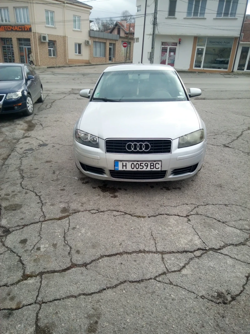 Audi A3 1.9 TDI, снимка 2 - Автомобили и джипове - 48247060