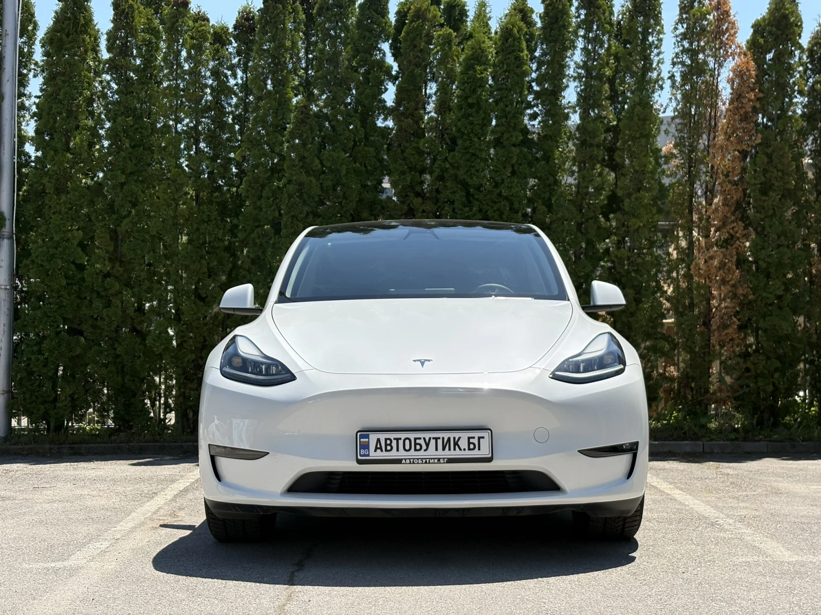 Tesla Model Y  Long Range AWD - изображение 2