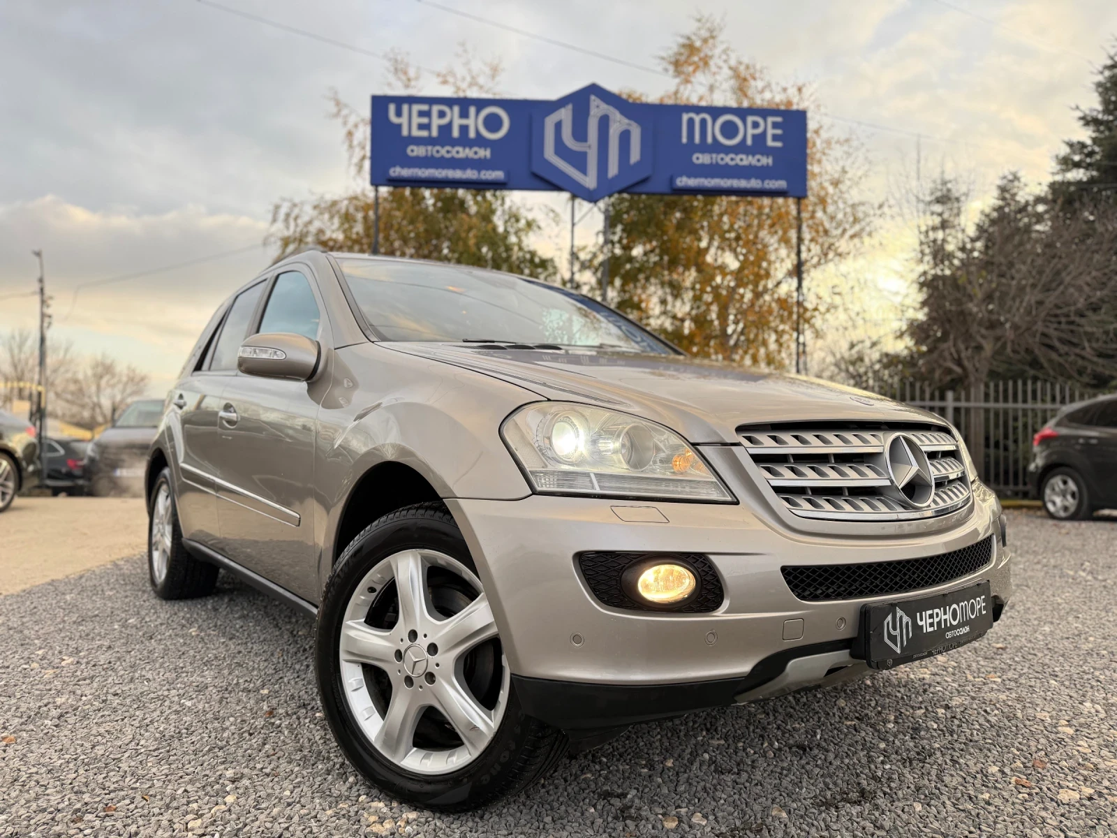 Mercedes-Benz ML 320 CDI Sport Premium , снимка 1