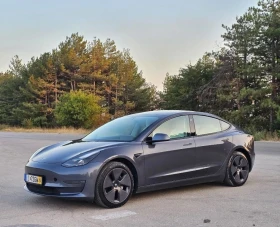     Tesla Model 3  Face 44  Long Range