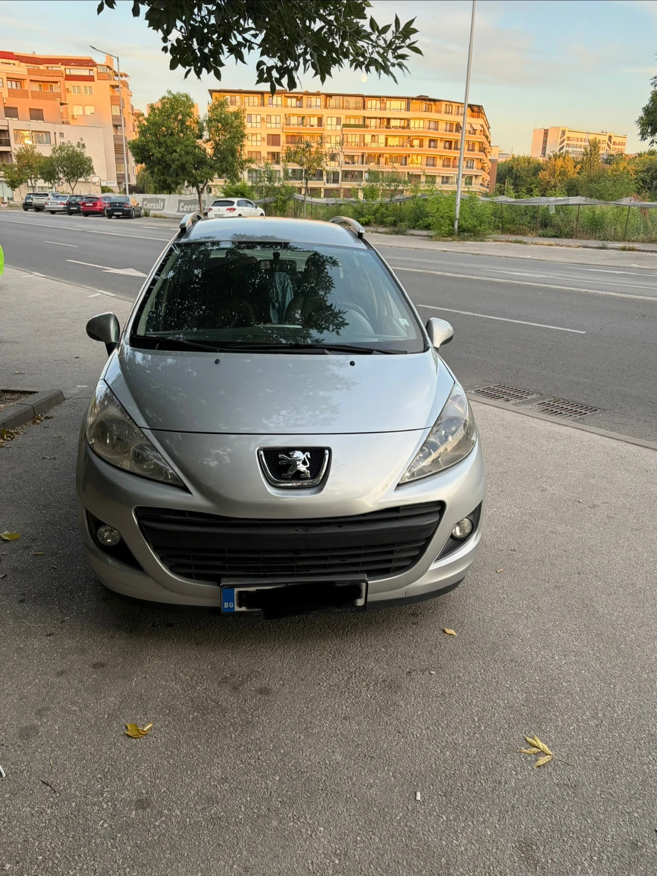 Peugeot 207
